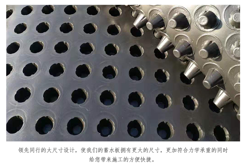 广西钦州3公分排水板/蓄排水板 价格优惠