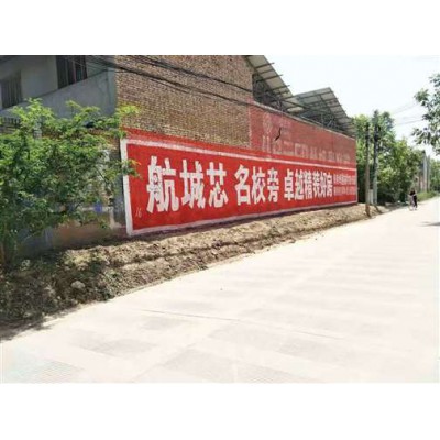 洛阳农村墙上刷广告映射农民风貌